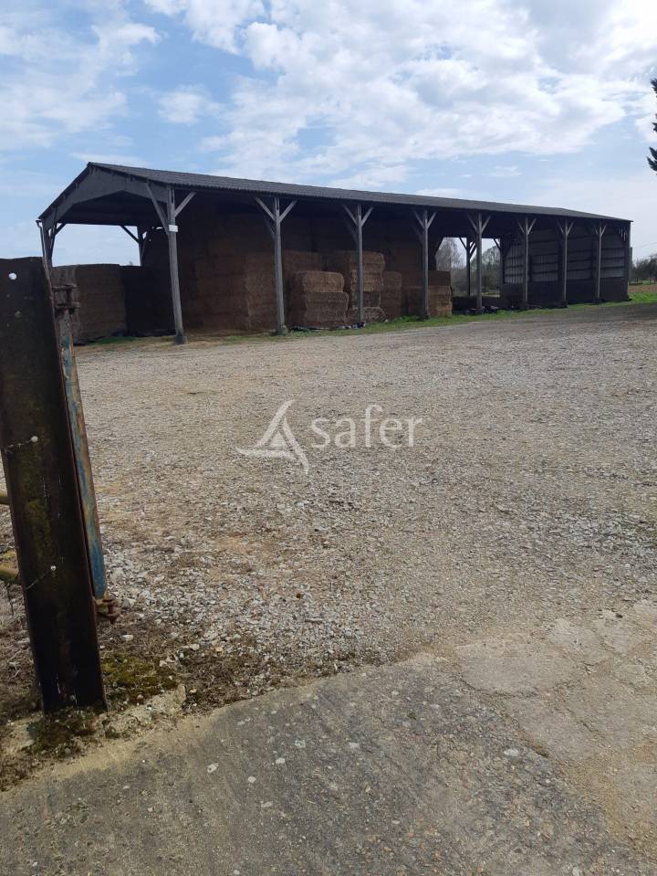 Melk exploitatie Koop Sarthe