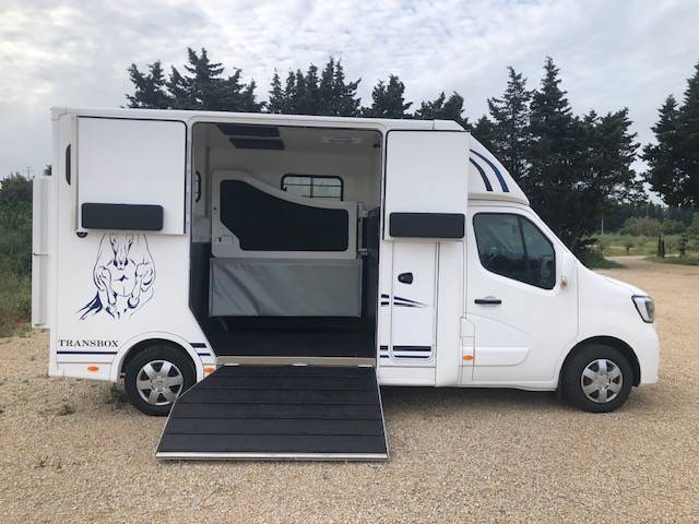Kleine paardenvrachtwagen (B rijbewijs) Trans Box SVELTO 4 R 2023 Nieuw