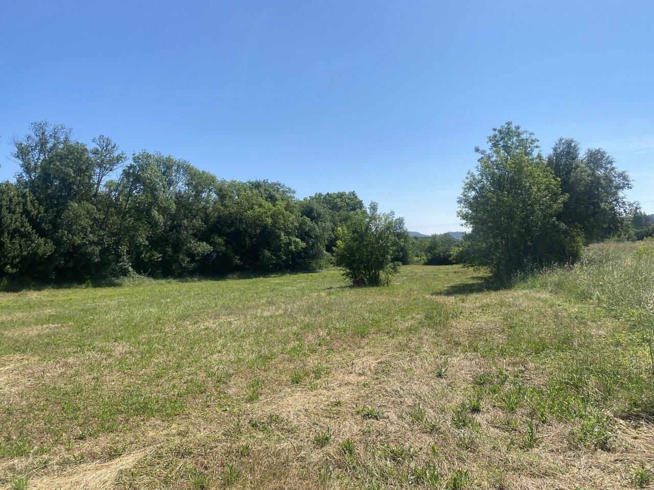 Paarden accommodatie Koop Var