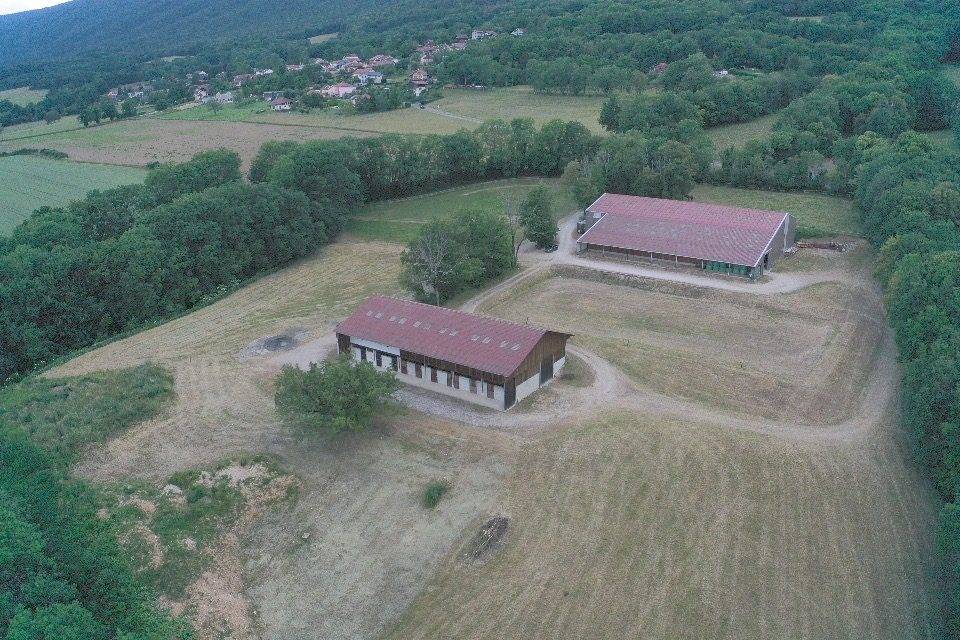 Eigenaren stal Koop Ain