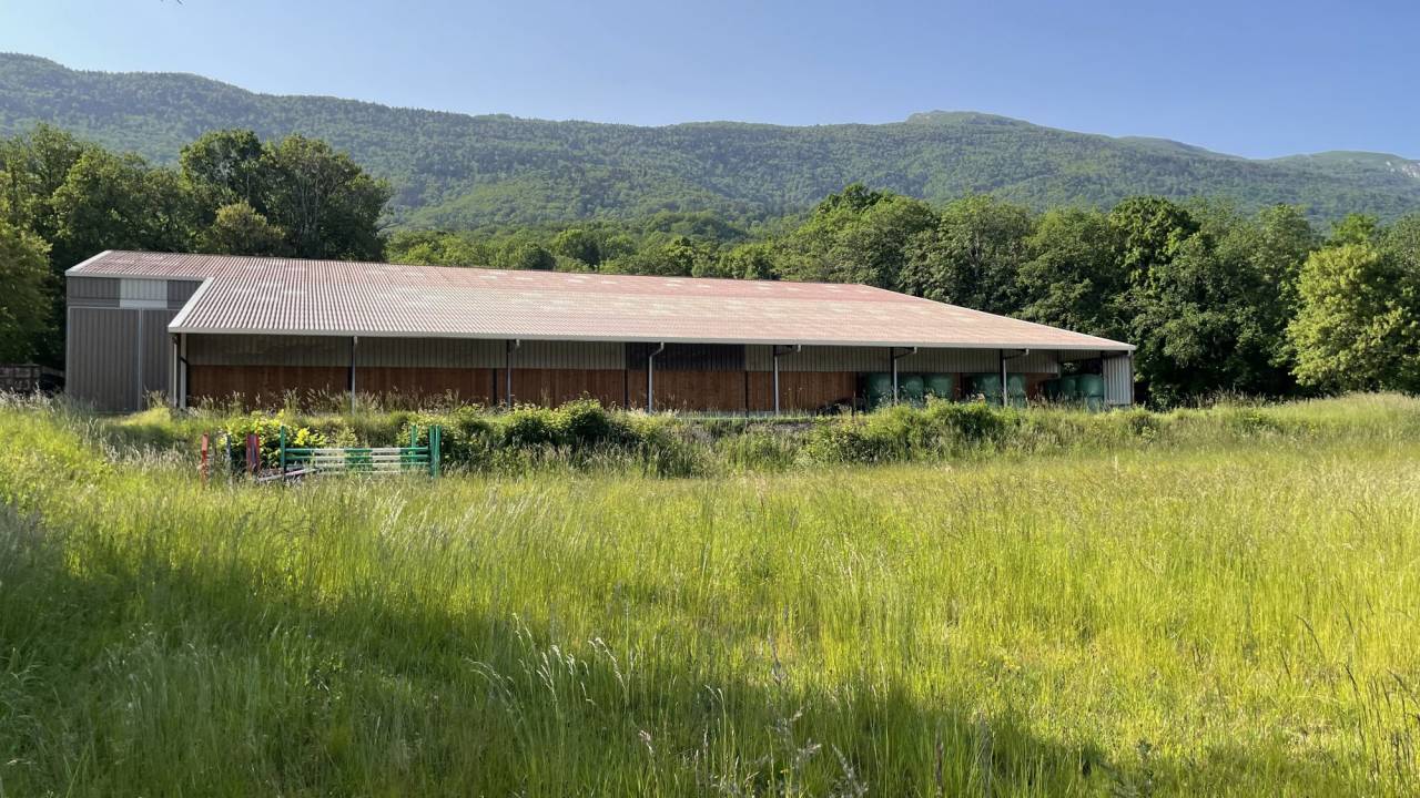 Eigenaren stal Koop Ain