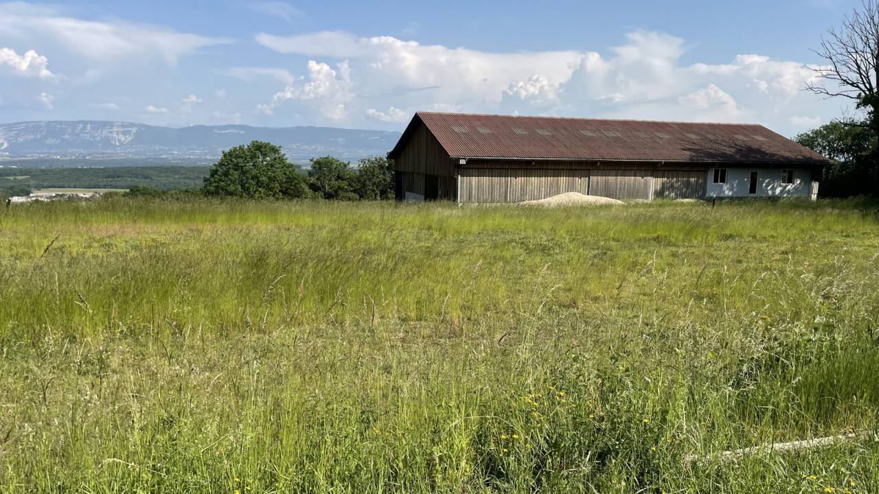 Eigenaren stal Koop Ain