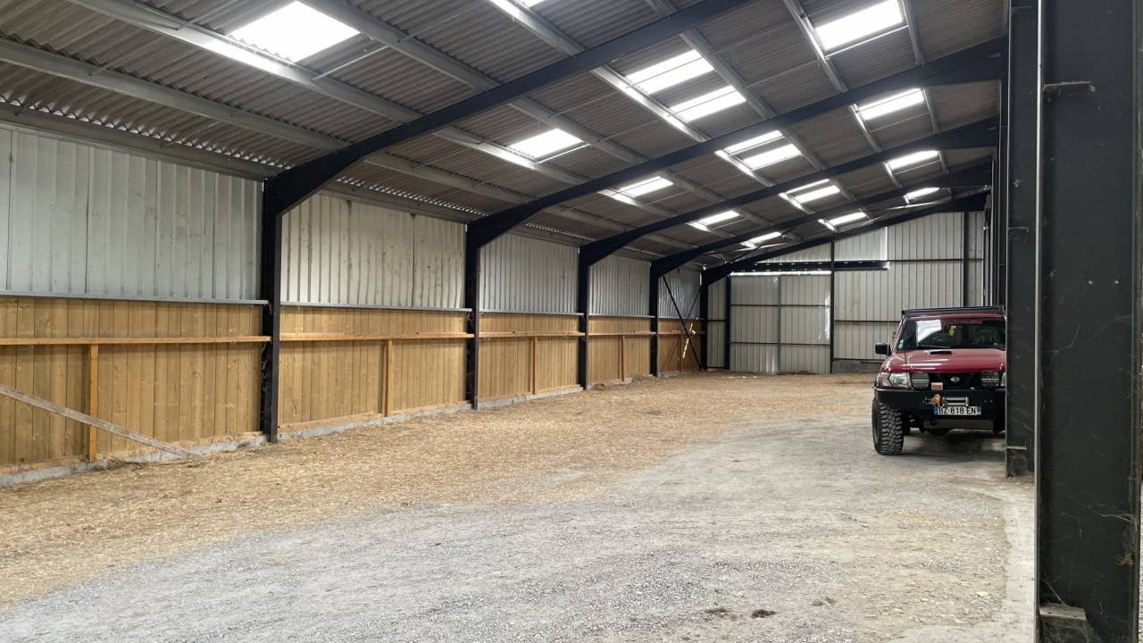 Eigenaren stal Koop Ain