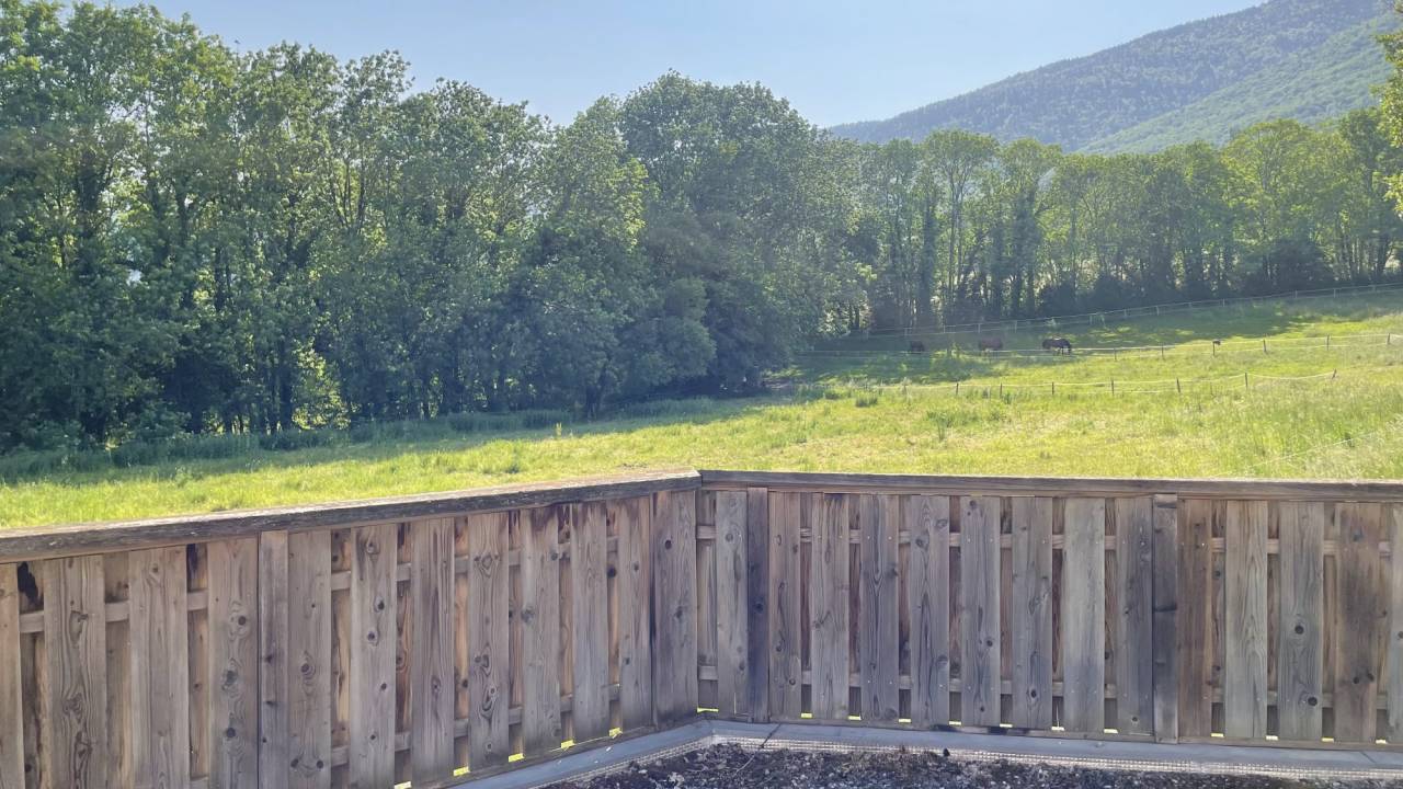 Eigenaren stal Koop Ain