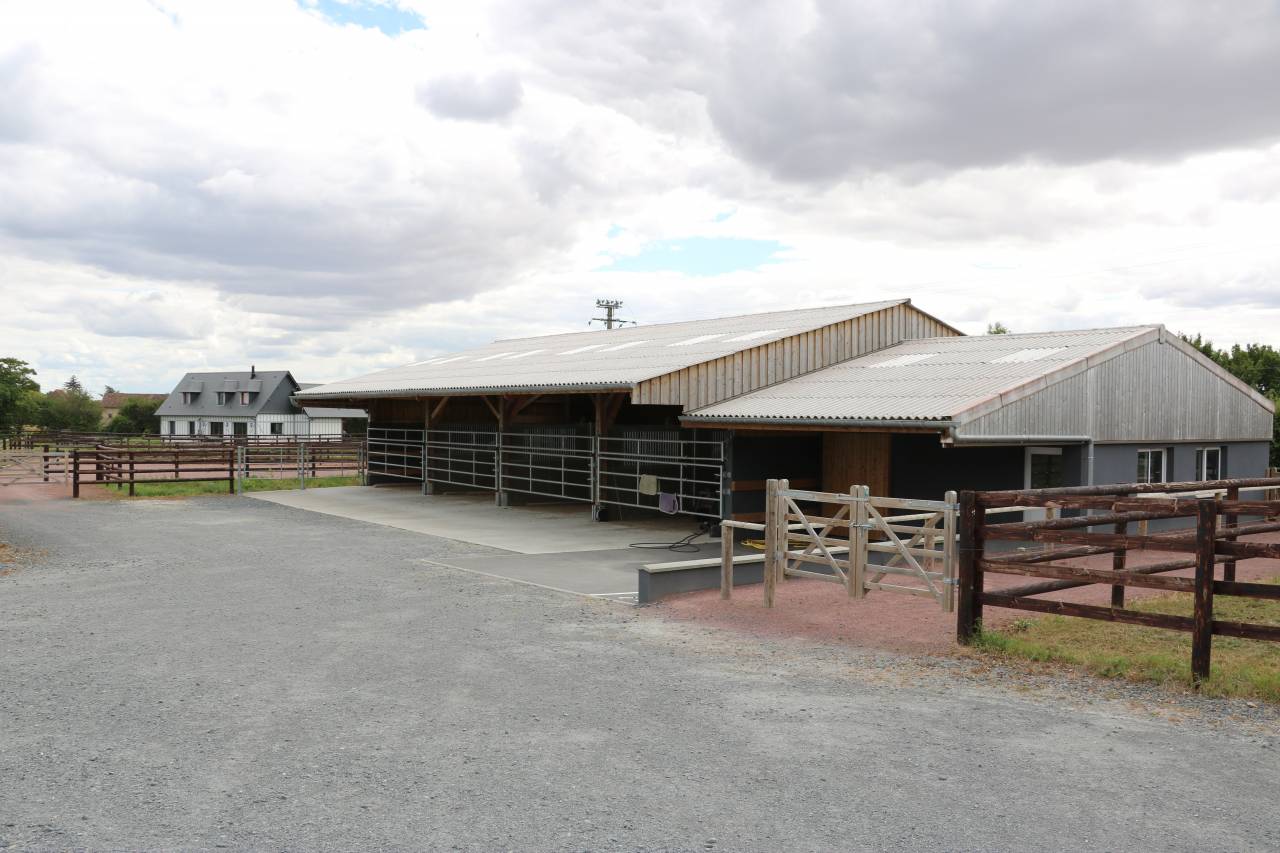 Stoeterij Koop Calvados