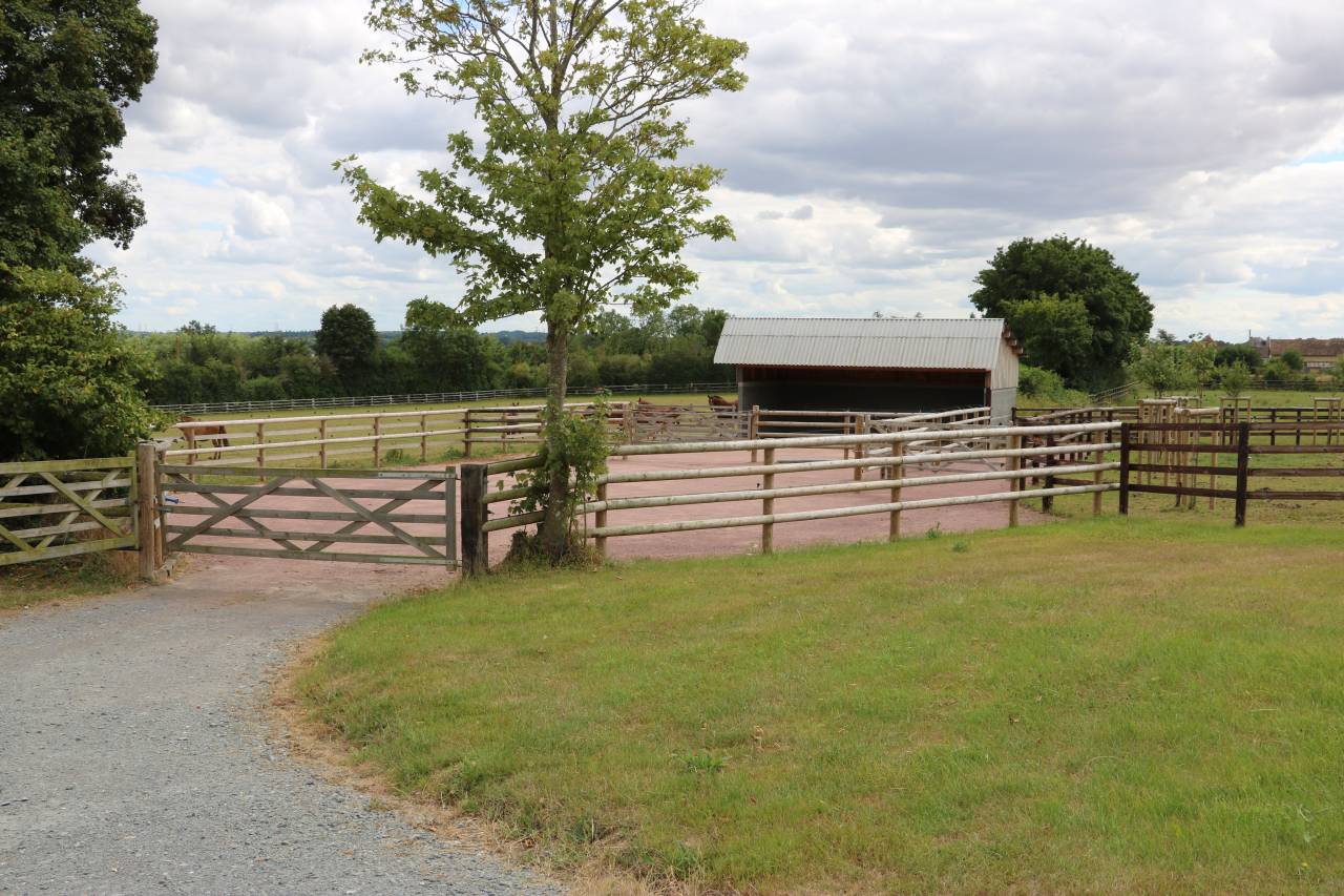 Stoeterij Koop Calvados