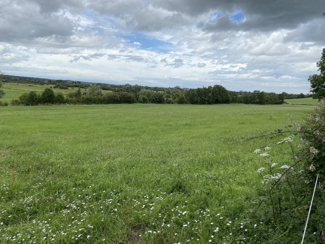 Stoeterij Koop Calvados