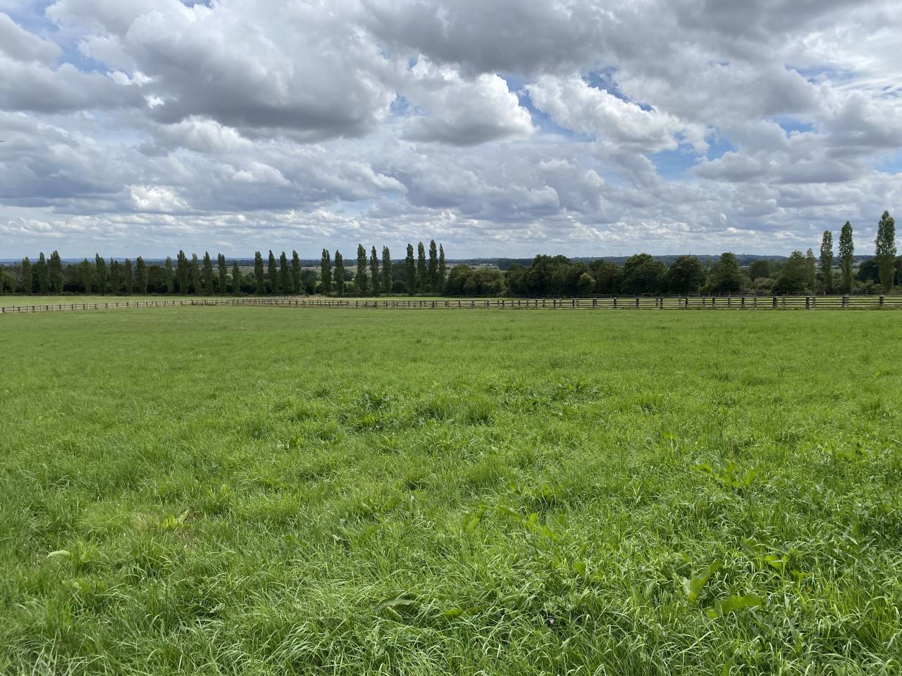 Stoeterij Koop Calvados