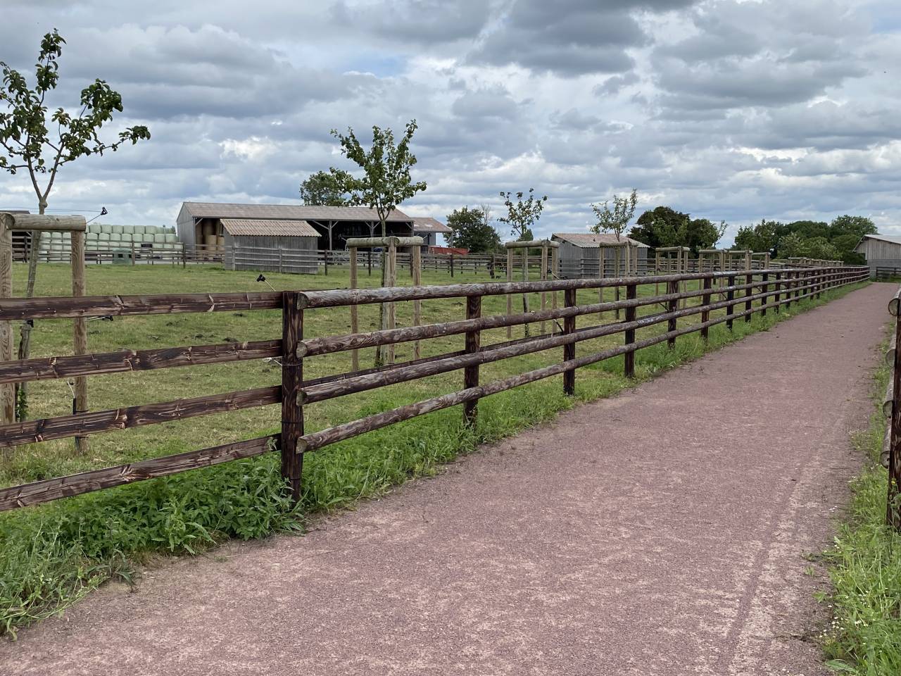 Stoeterij Koop Calvados