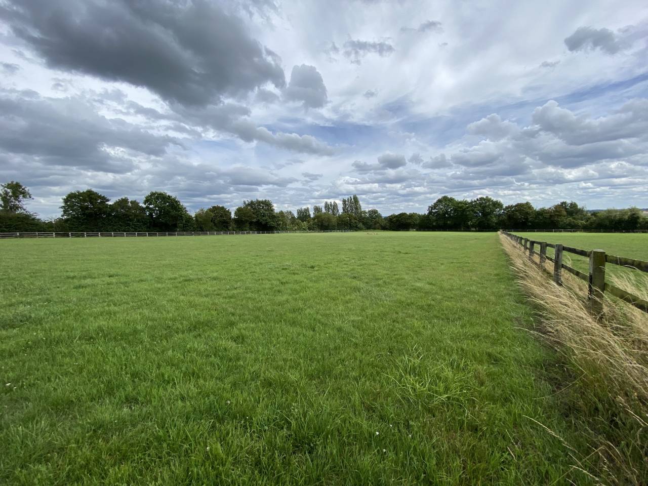 Stoeterij Koop Calvados