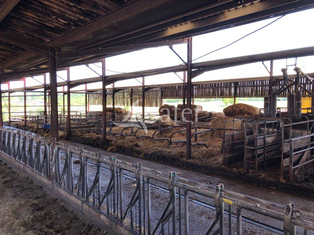 Melk exploitatie Koop Dordogne