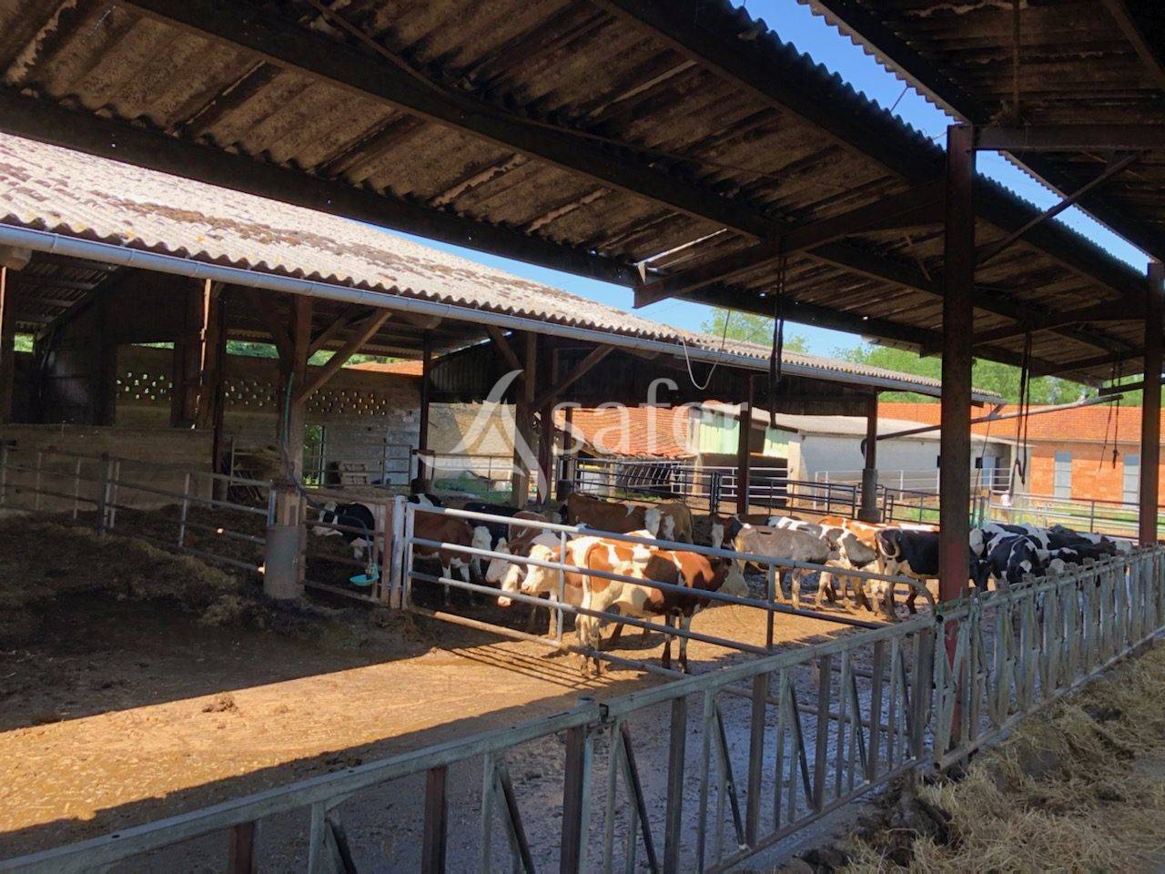 Melk exploitatie Koop Dordogne