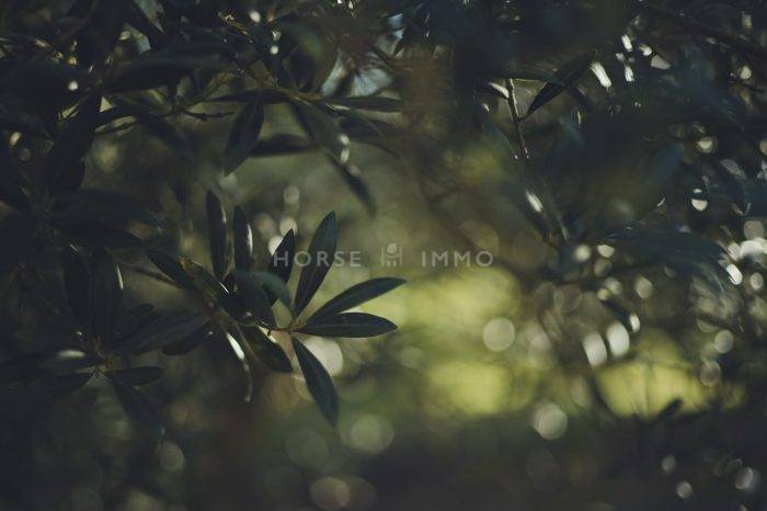 Mooi hippisch vastgoed Koop Bouches-du-Rhône