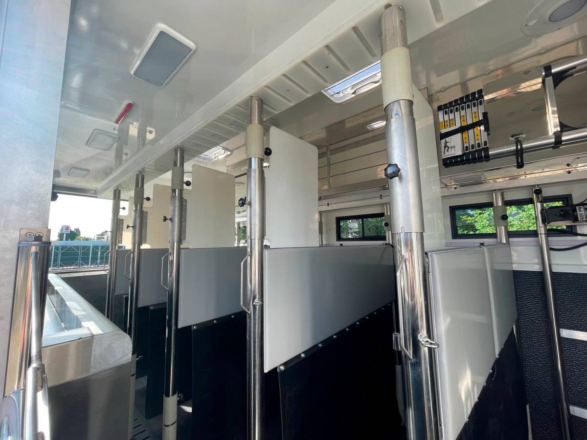 Zware paardenvrachtwagen (groot rijbewijs) Daf DAF 0 Nieuw