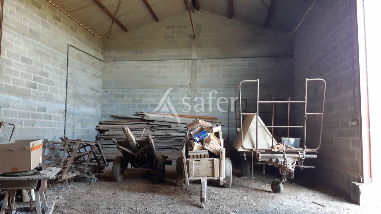 Landbouw bedrijf Koop Charente-Maritime