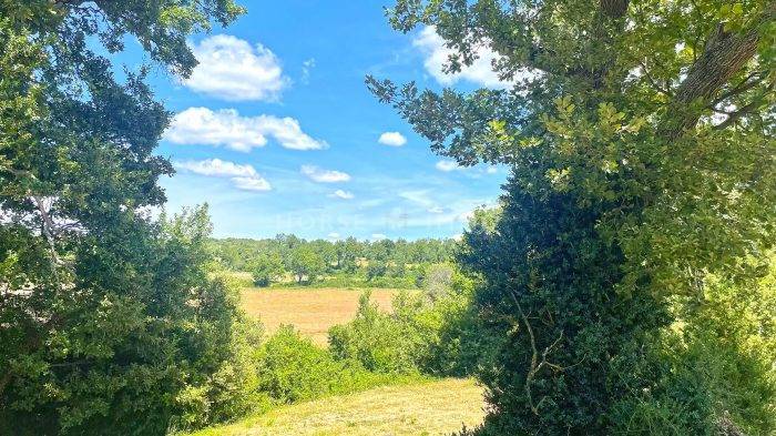 Hippisch vastgoed Koop Var