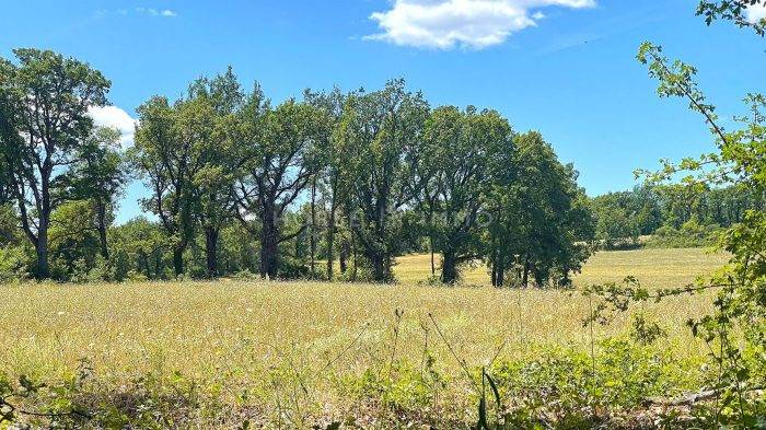 Hippisch vastgoed Koop Var