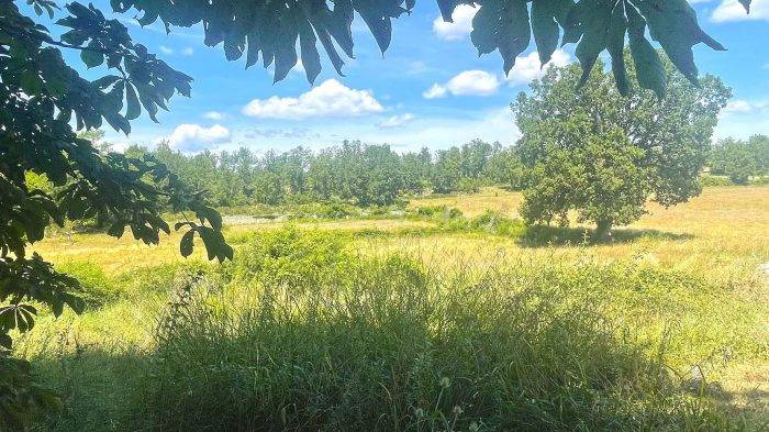 Hippisch vastgoed Koop Var