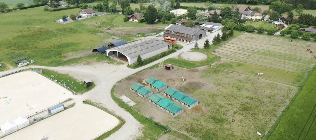 Hippisch vastgoed Koop 