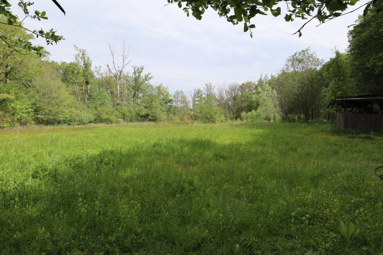 Hippisch vastgoed Koop 