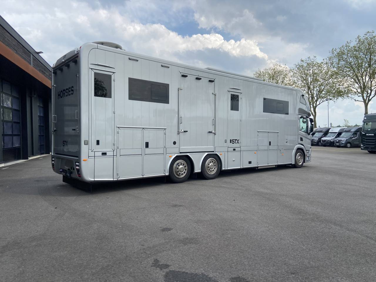 Zware paardenvrachtwagen (groot rijbewijs) STX  2025 Nieuw