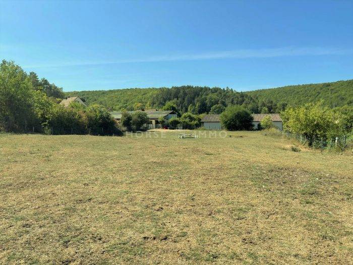 Hippisch vastgoed Koop Côte d'Or