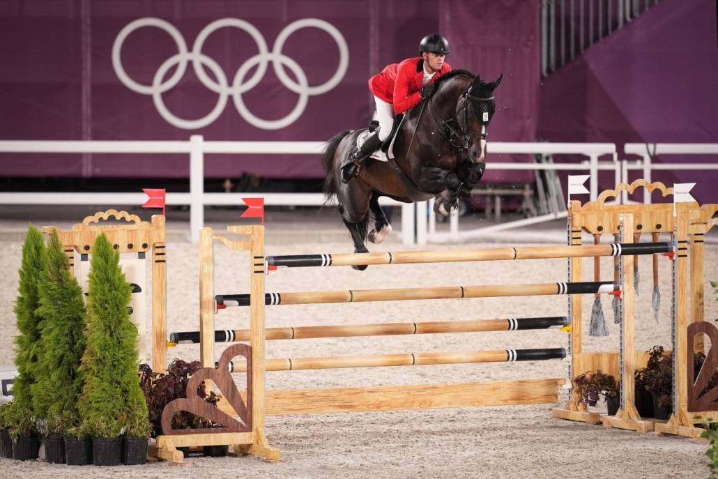 Veulen (ml) Selle Français Te koop 2023 Bruin / Bai ,  Quel homme de Hus