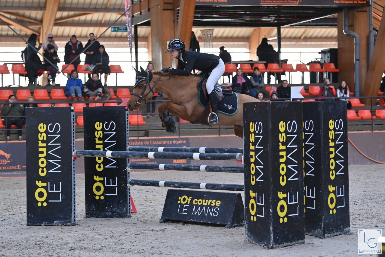 Merrie New Forest Te leen 2011 Vos