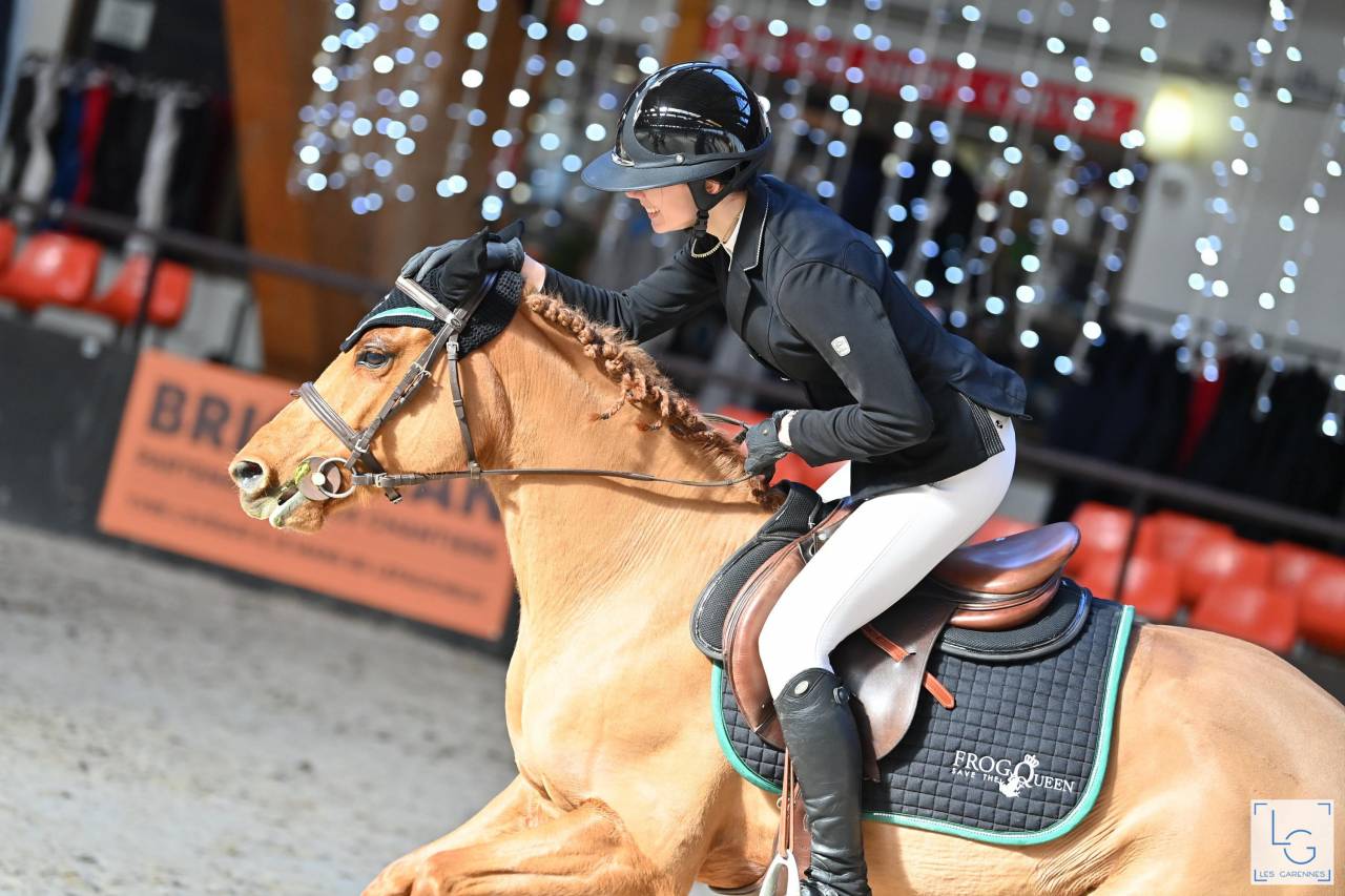 Merrie New Forest Te leen 2011 Vos