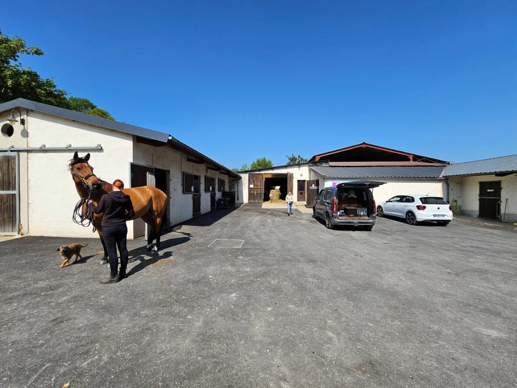 Eigenaren stal Koop Paris