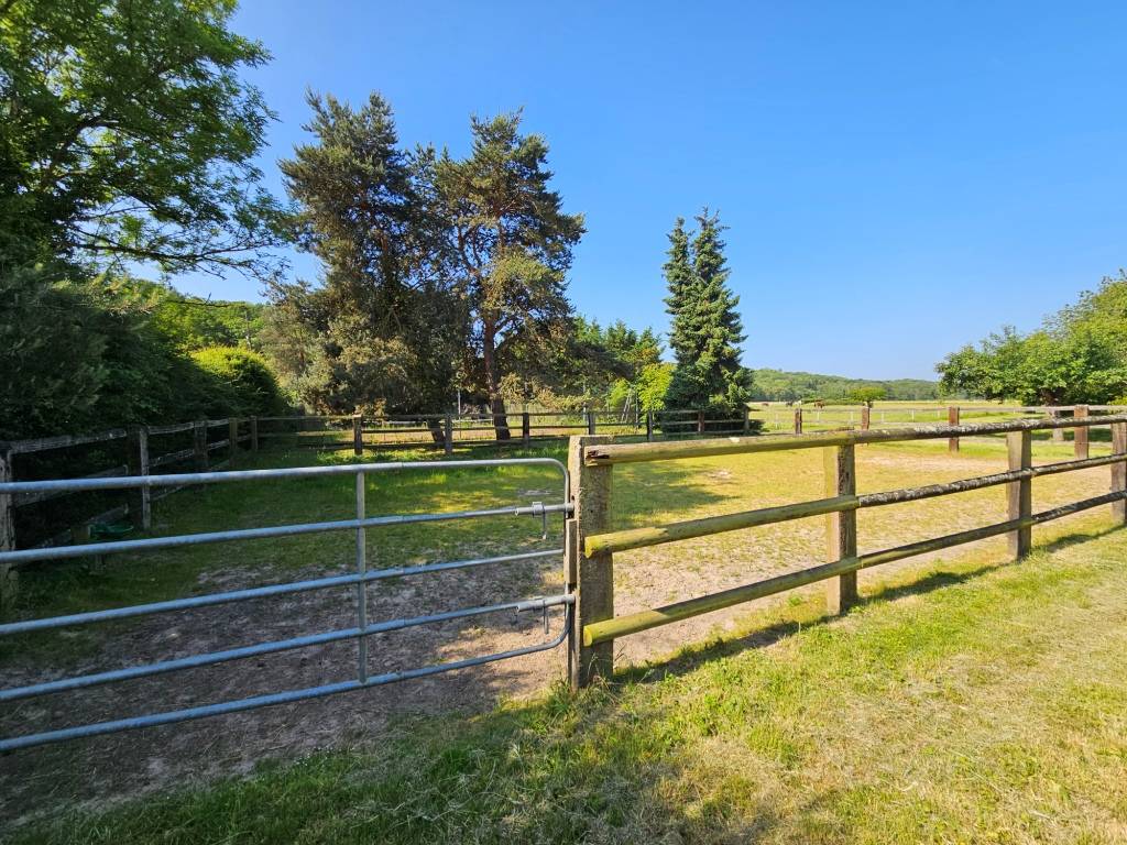 Eigenaren stal Koop Paris