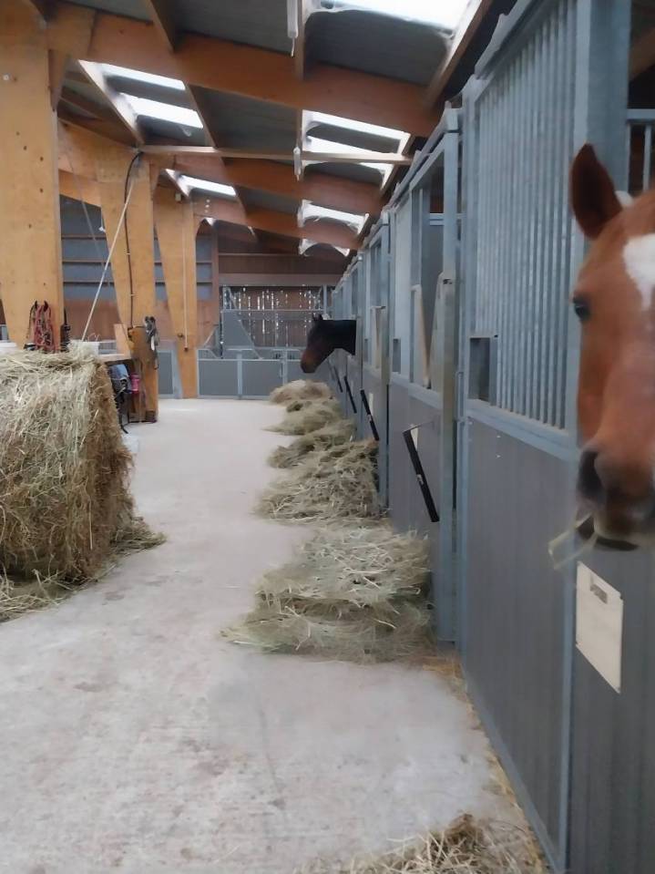 Ponyclub Koop Deux-S&egrave;vres
