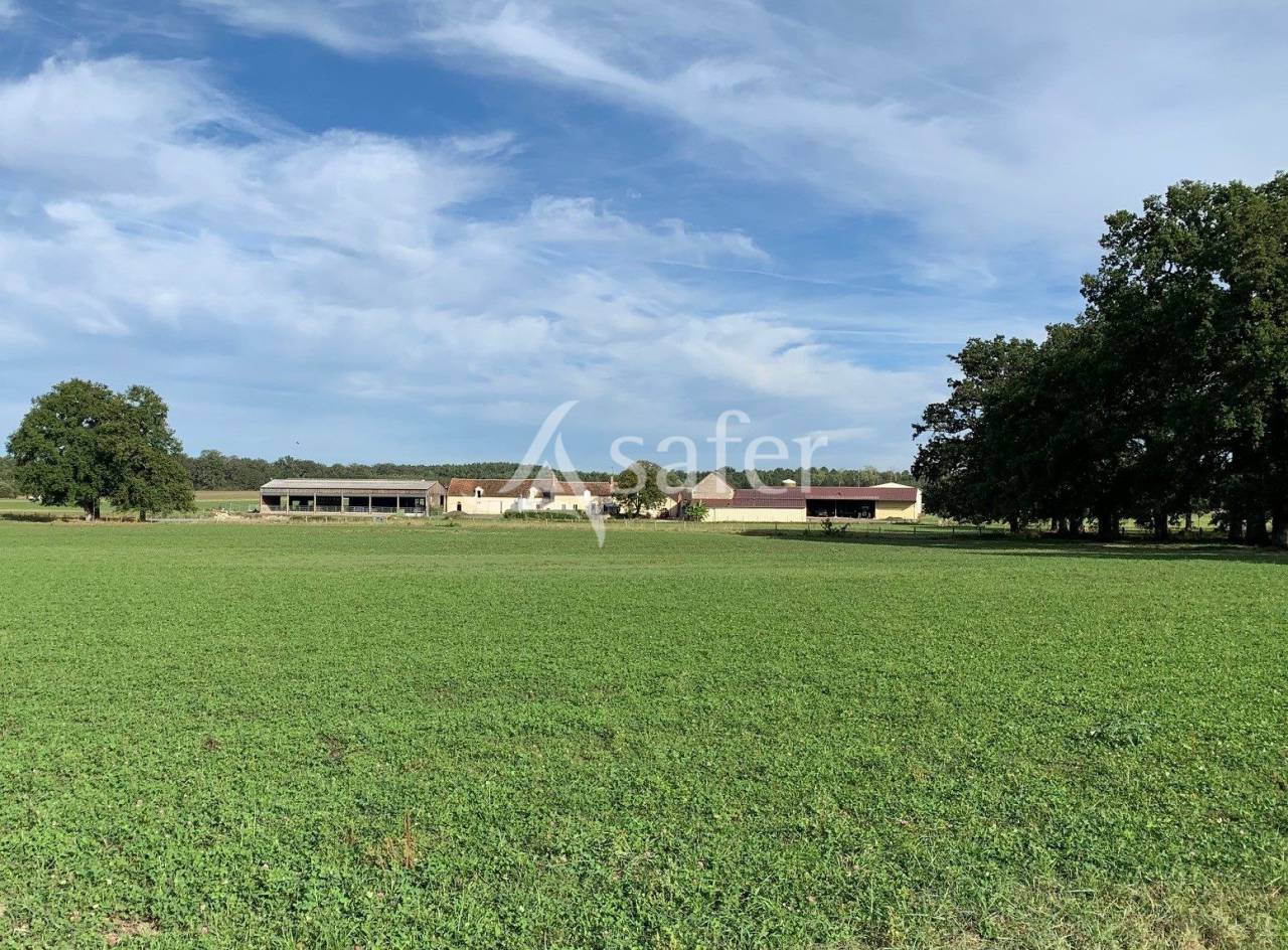 Graan exploitatie Koop Loir-et-Cher