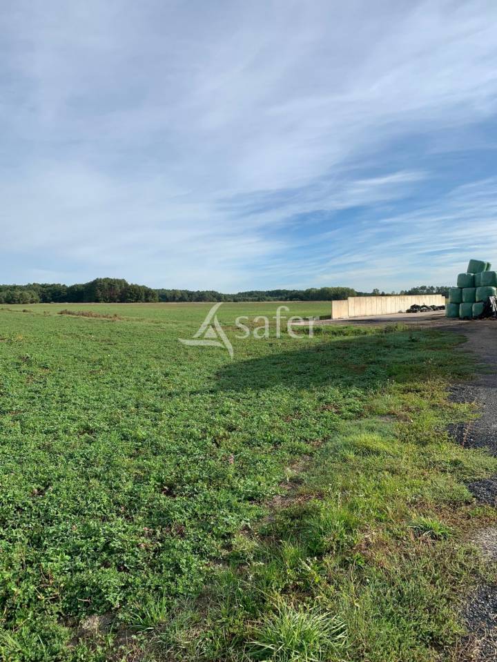 Graan exploitatie Koop Loir-et-Cher