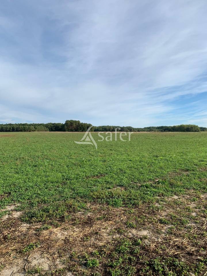 Graan exploitatie Koop Loir-et-Cher