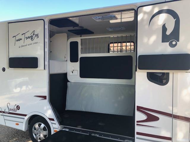 Kleine paardenvrachtwagen (B rijbewijs) Trans Box New svelto 5  2024 Nieuw