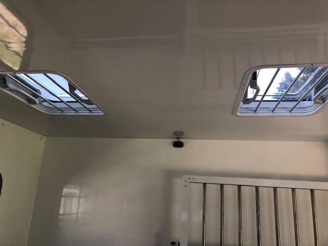 Kleine paardenvrachtwagen (B rijbewijs) Trans Box New svelto 5  2024 Nieuw