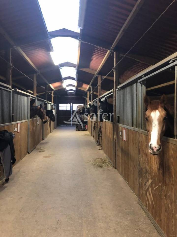 Hippisch vastgoed Koop Aveyron