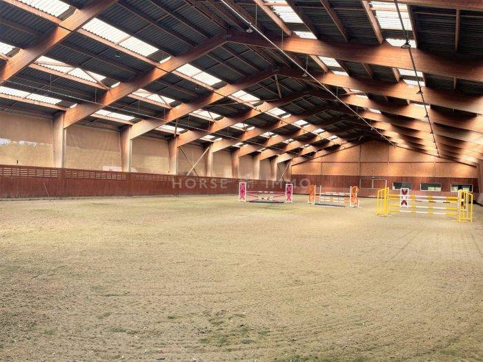 Stoeterij Koop Loiret