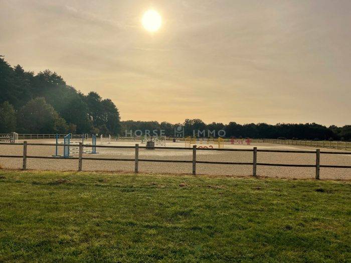 Stoeterij Koop Loiret