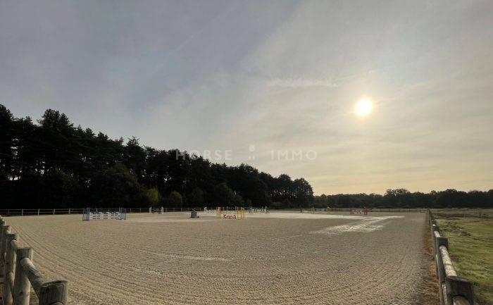 Stoeterij Koop Loiret