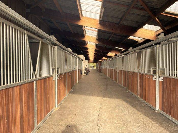 Stoeterij Koop Loiret