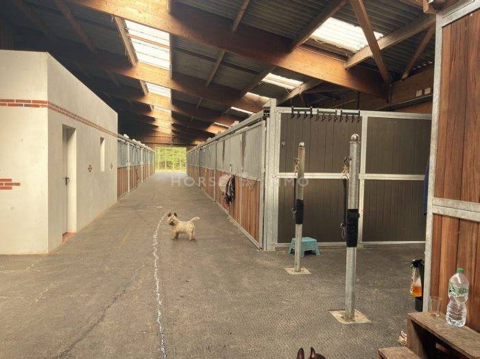 Stoeterij Koop Loiret