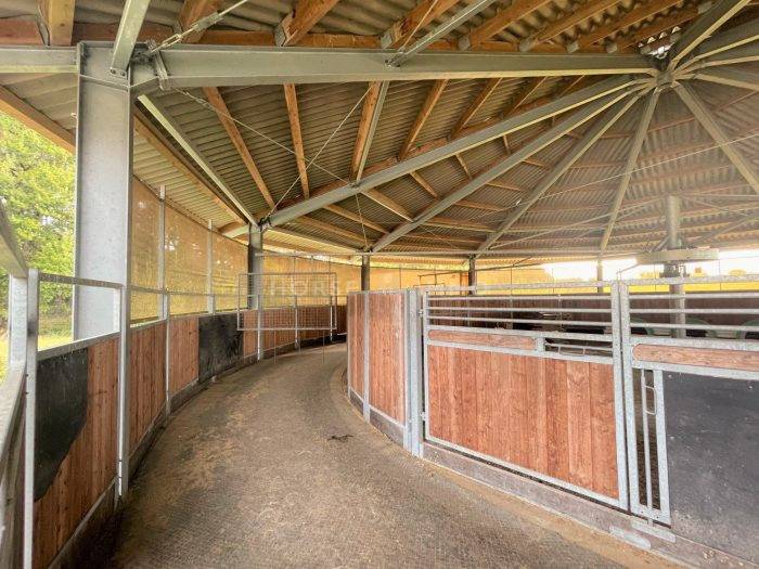 Stoeterij Koop Loiret