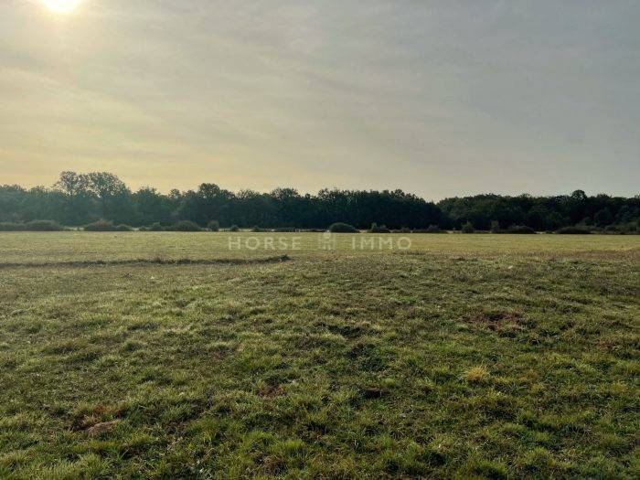 Stoeterij Koop Loiret