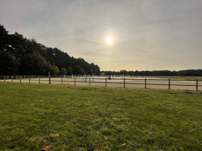 Stoeterij Koop Loiret