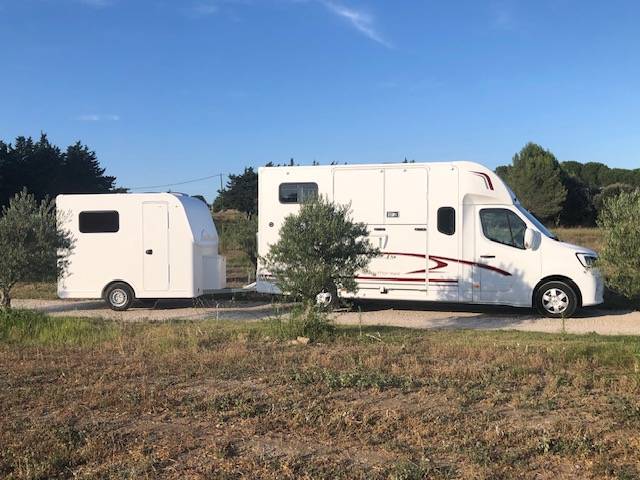 Kleine paardenvrachtwagen (B rijbewijs) Trans Box Svelto et sporting  2023 Nieuw