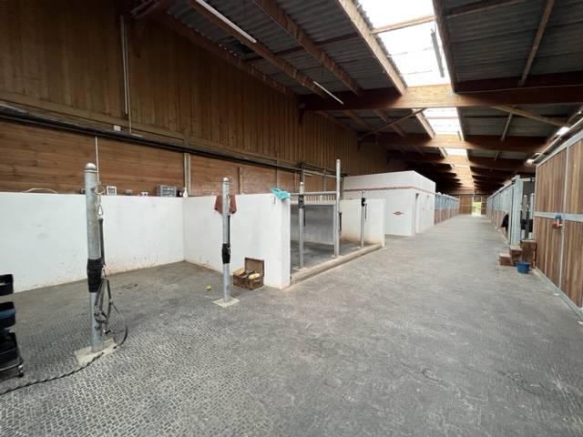 Eigenaren stal Koop Loiret