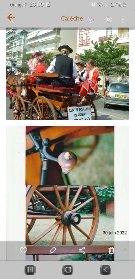 Rijtuigen - Break  Bernois Suisse 1880 