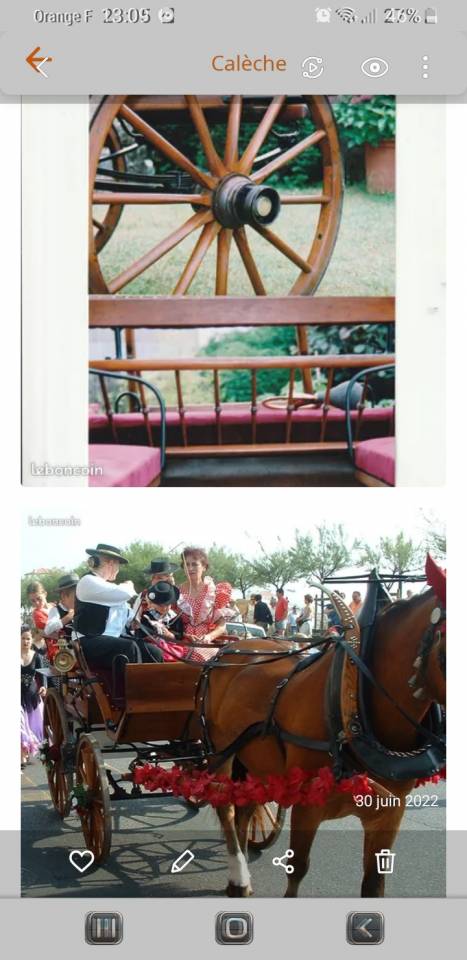 Rijtuigen - Break  Bernois Suisse 1880 